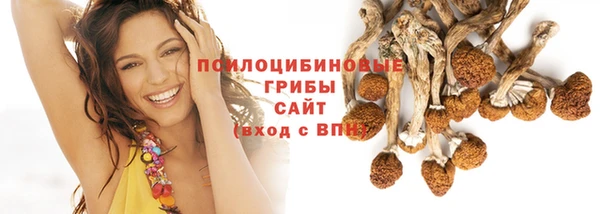 шишки Алзамай