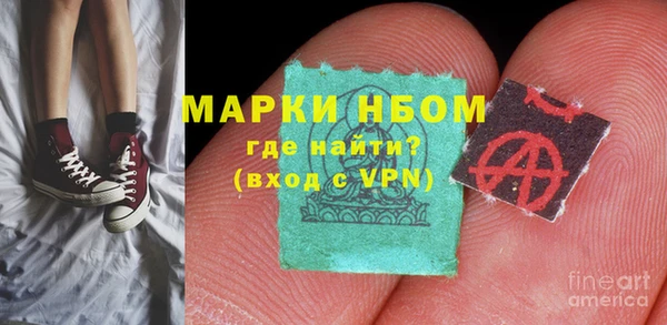 шишки Алзамай