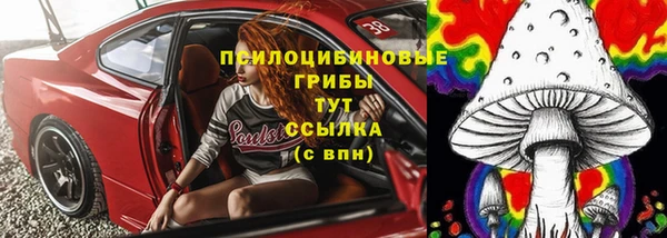 шишки Алзамай