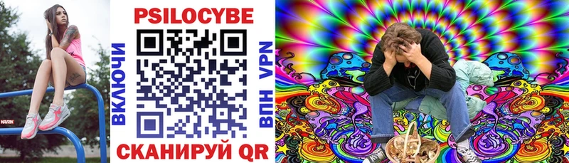 Псилоцибиновые грибы Cubensis  Лобня 